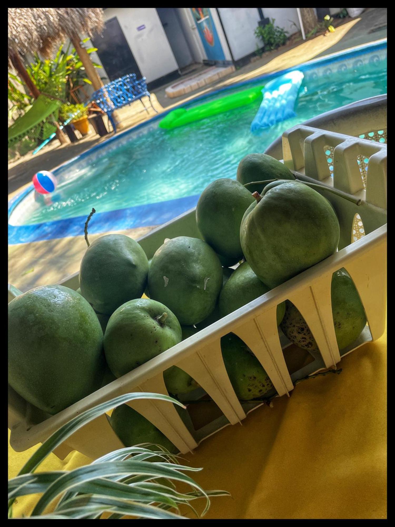Managua Hotel Oasis Exteriör bild